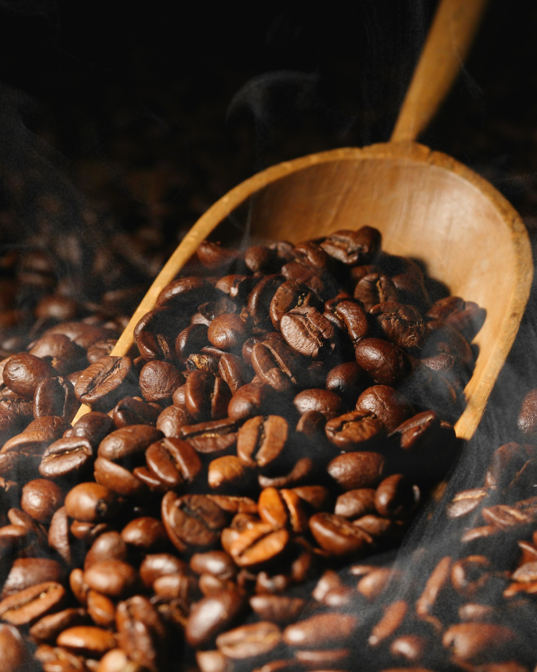 Lekker & Lively House blend 1kg